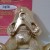 Polly (Gold)