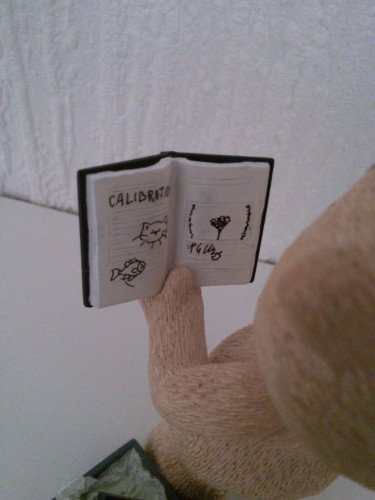 Bear photo