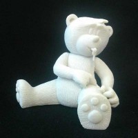 Bear photo