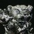 Cybear (Silver)