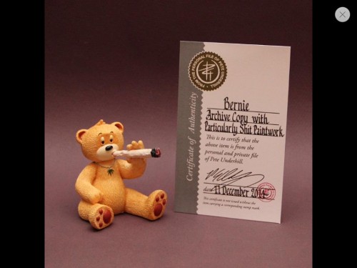 Bear photo