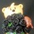 Ross (Black Roses)