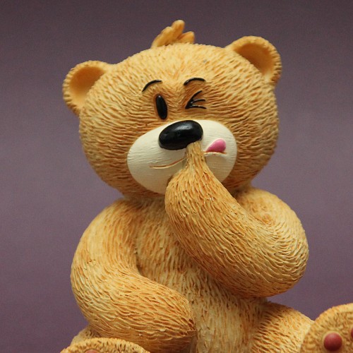Bear photo