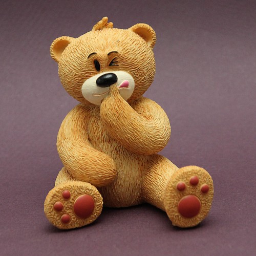 Bear photo
