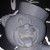 Davy Jones (Grey)