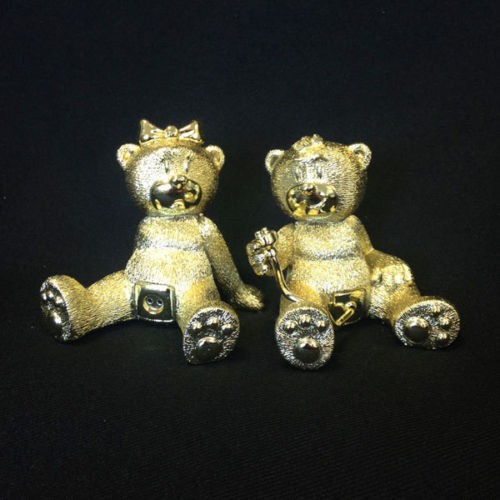 Bear photo