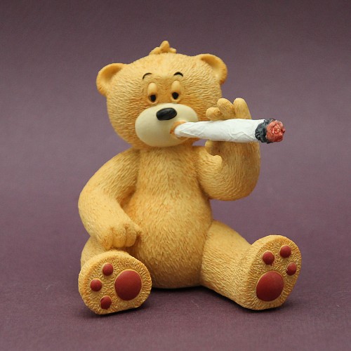 Bear photo