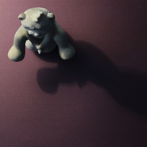 Bear photo