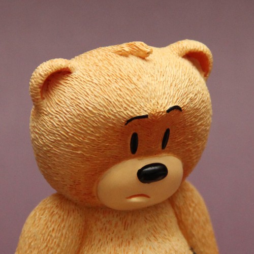 Bear photo