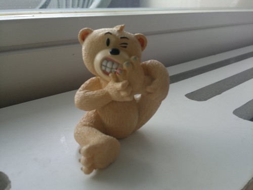 Bear photo