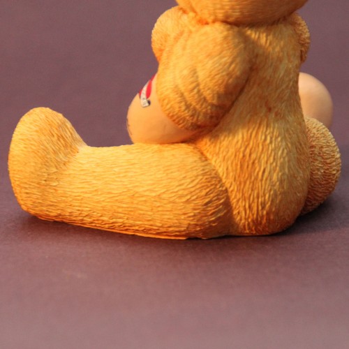 Bear photo