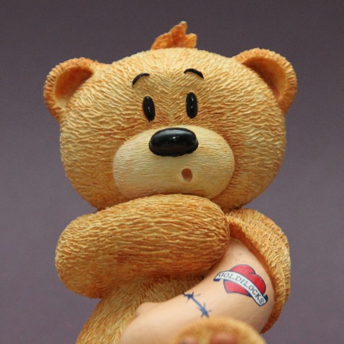 Bear photo