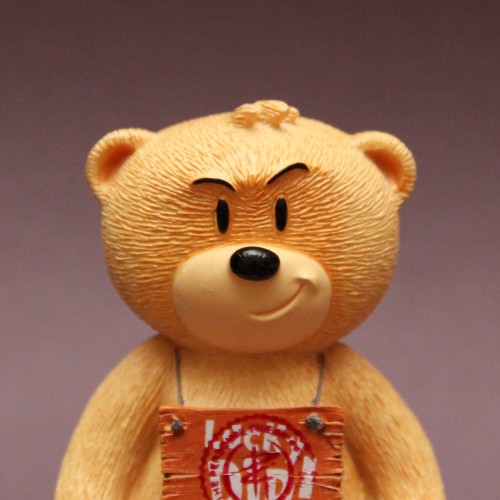 Bear photo