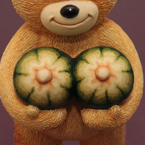 Bear photo