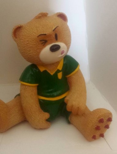 Bear photo