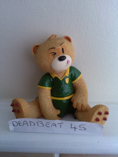 Bear photo
