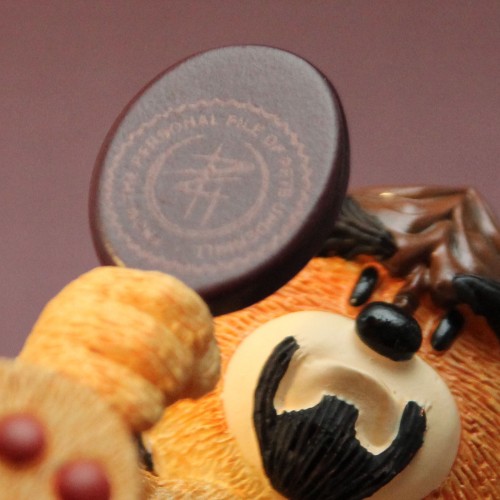 Bear photo
