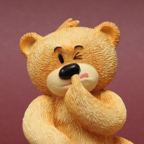 Bear photo