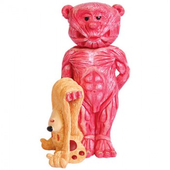 Bear photo