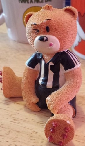 Bear photo