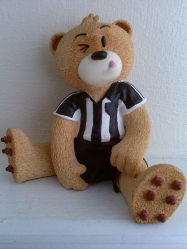 Bear photo