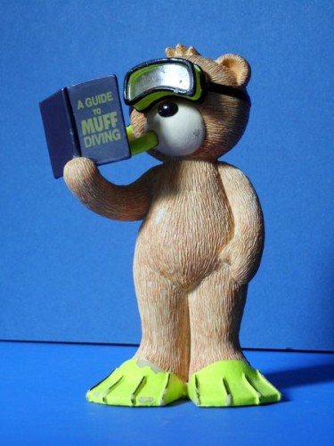 Bear photo