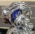 Venus (16" Chrome Sample)