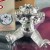Art (Silver Production Sample)