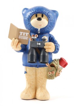 Bear photo