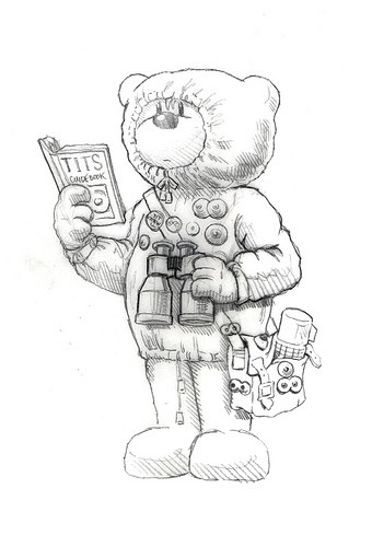 Bear photo