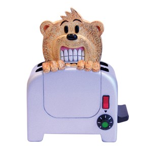 Bear photo