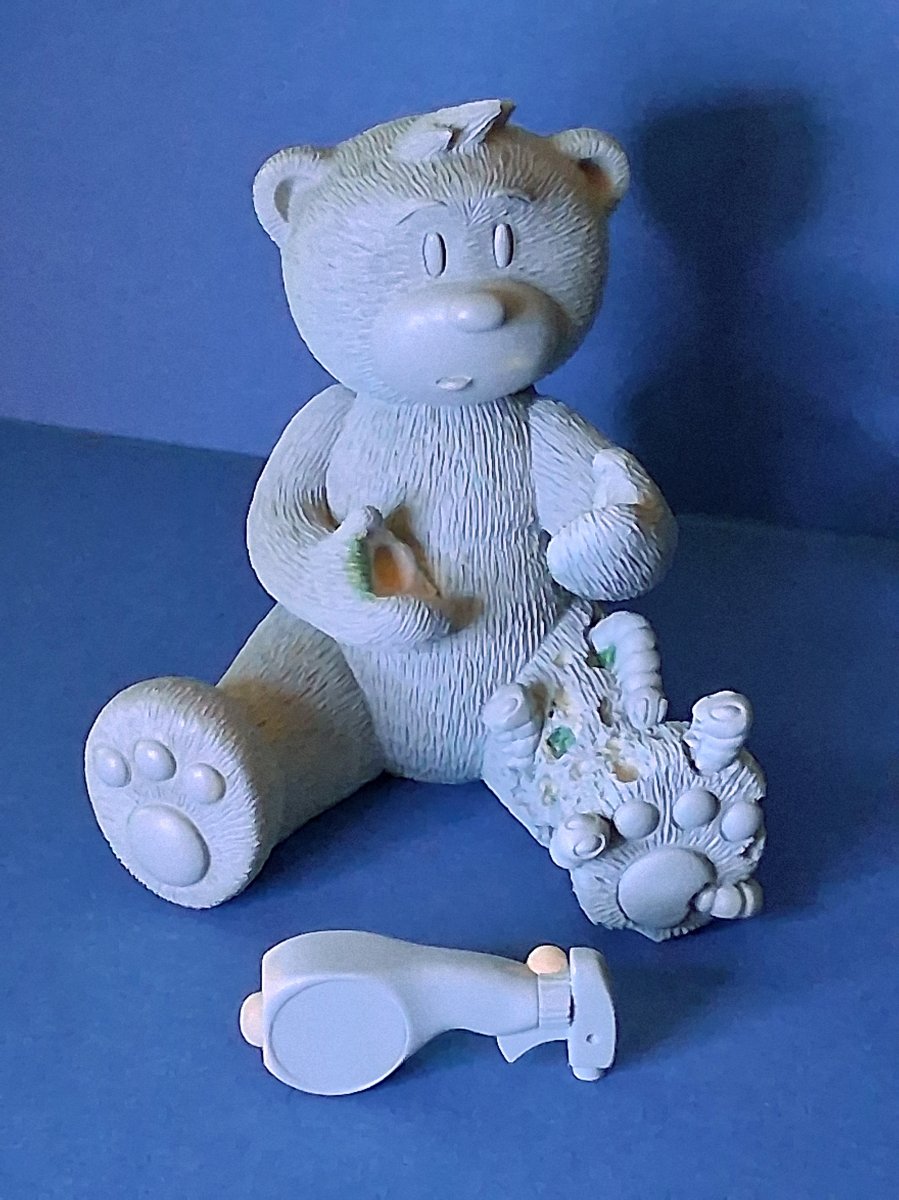 Bear photo