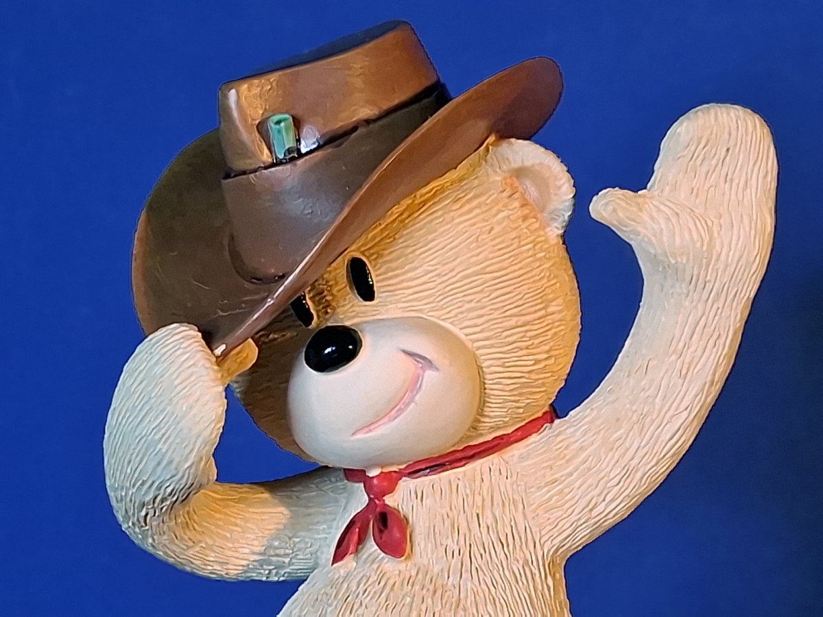 Bear photo