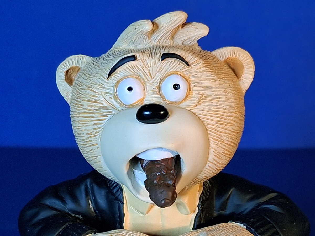 Bear photo