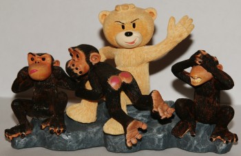 Bear photo