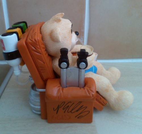Bear photo