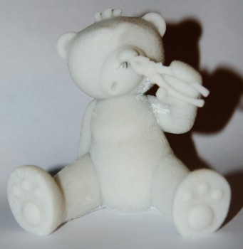 Bear photo