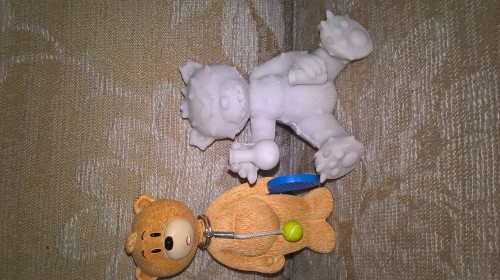 Bear photo
