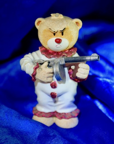 Bear photo