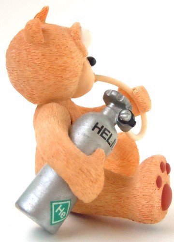 Bear photo
