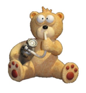 Bear photo