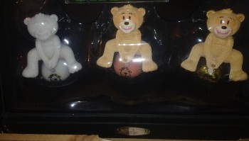 Bear photo