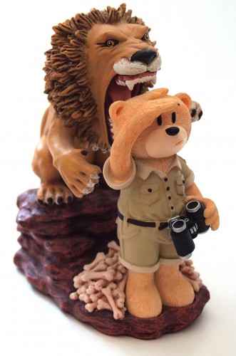 Bear photo