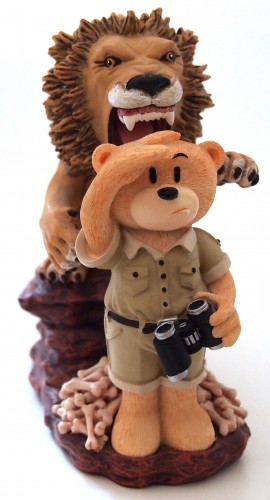 Bear photo