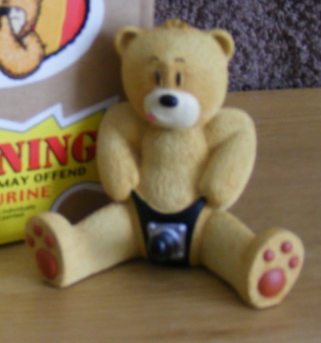 Bear photo