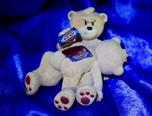 Bear photo