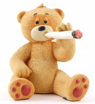 Bear photo