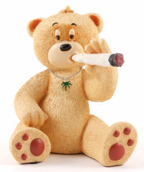 Bear photo