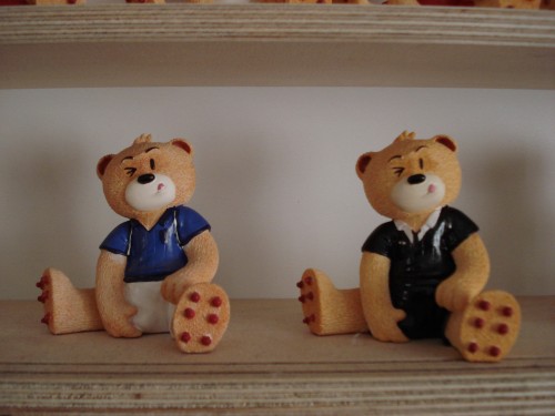 Bear photo
