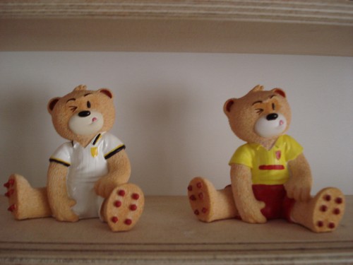 Bear photo